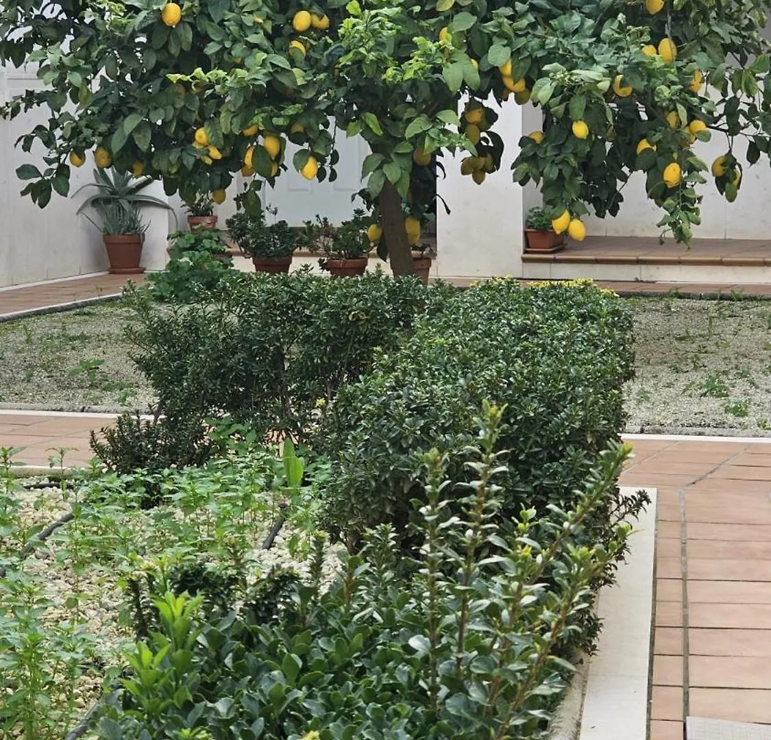Apartamento Menina San Pedro Cordoba